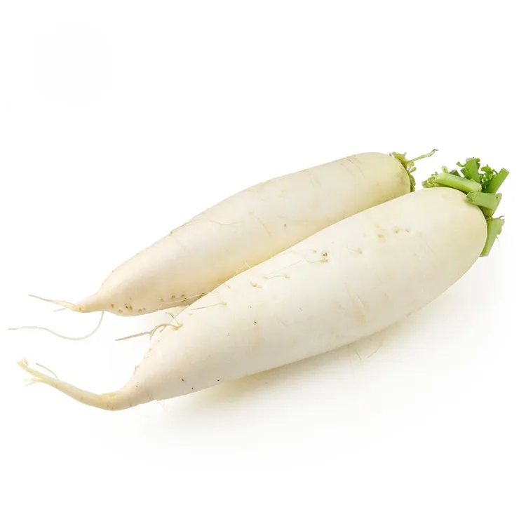 الفجل الأبيض المقرمش
