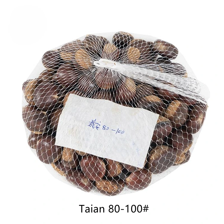 Premium Quality Chestnuts