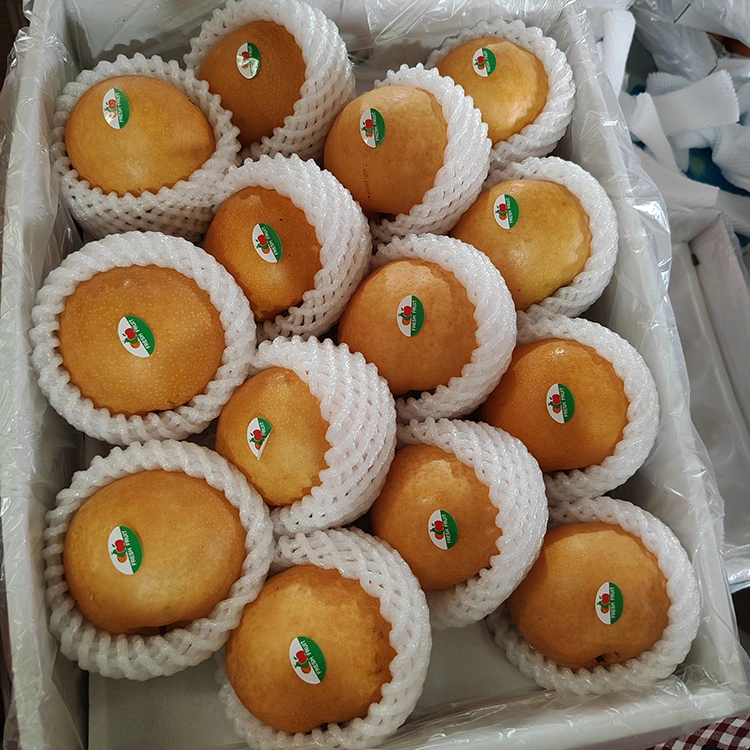 قسط شينغو الكمثرى